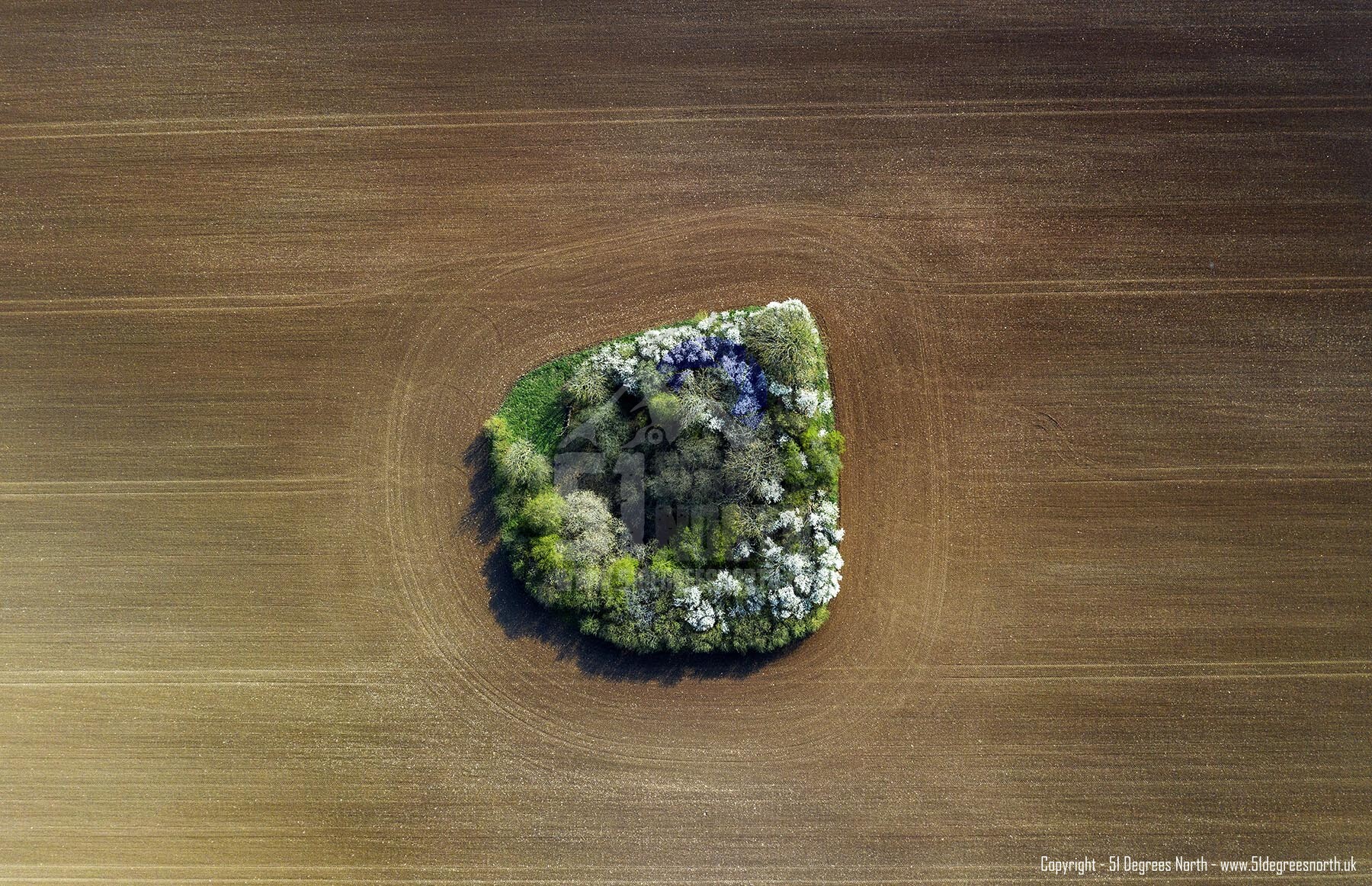 Cirencester, Gloucestershire